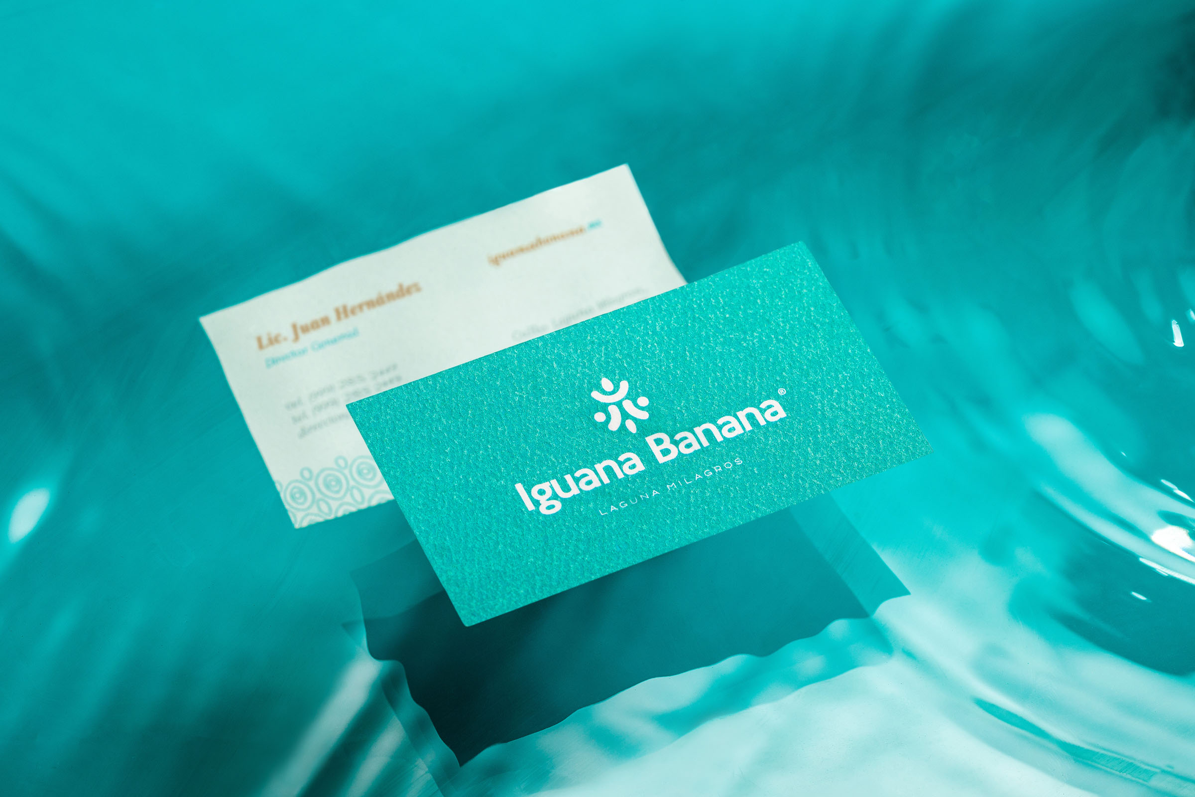 旅游品牌VI設計